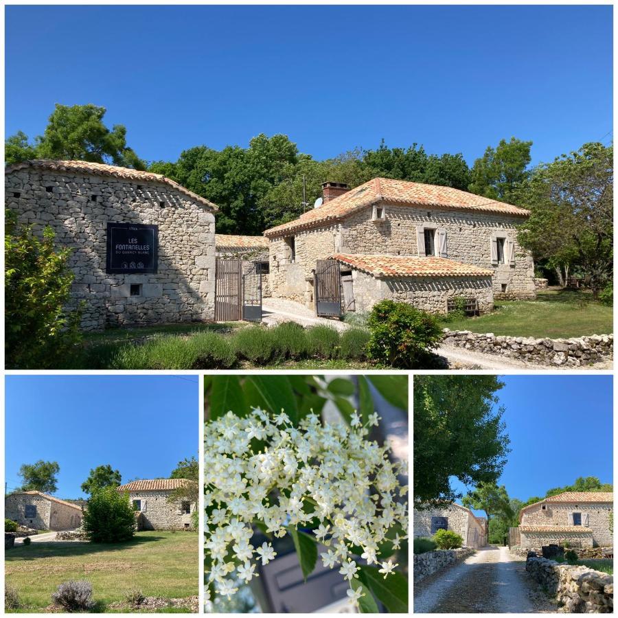 Villa Les Fontanelles Du Quercy Blanc Montcuq Esterno foto