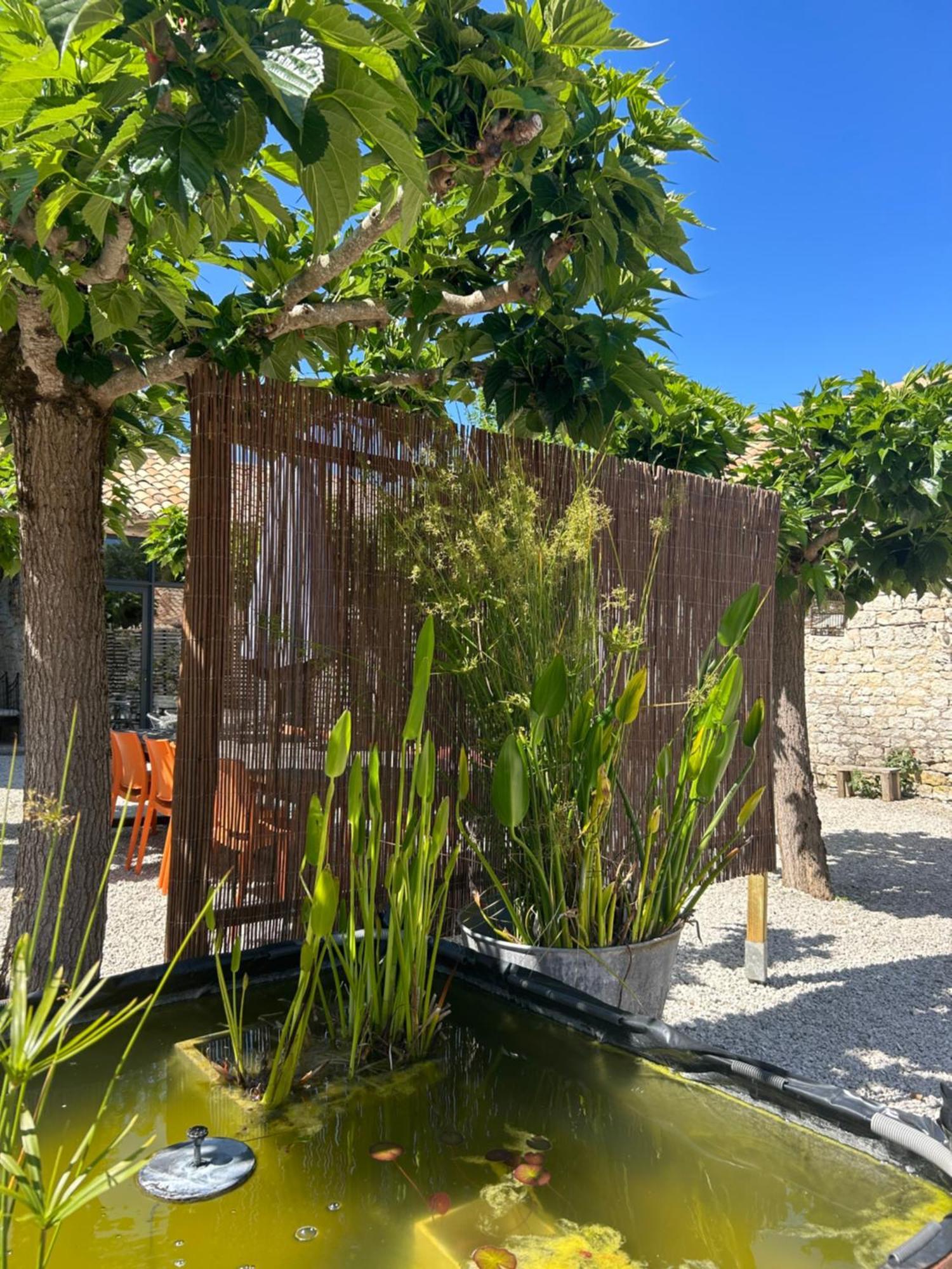 Villa Les Fontanelles Du Quercy Blanc Montcuq Esterno foto